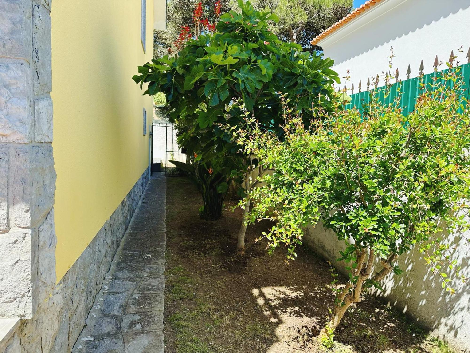 Bay Golf House Βίλα Κασκαΐς Εξωτερικό φωτογραφία